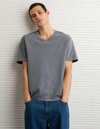 AE Standard Fit Lived-In V-Neck T-Shirt