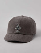 AEO Fitted 棒球帽