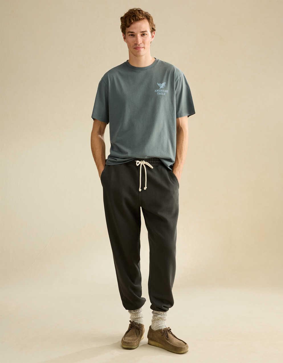 AE Standard Fit Graphic Logo T-Shirt