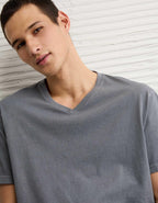 AE Standard Fit Lived-In V-Neck T-Shirt