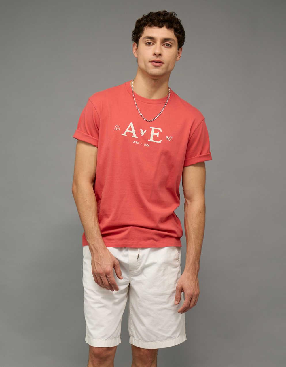 AE Photoreal Graphic T-Shirt