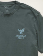 AE Standard Fit Graphic Logo T-Shirt