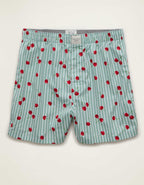 AEO Men's Food Stretch Cotton Boxer Short