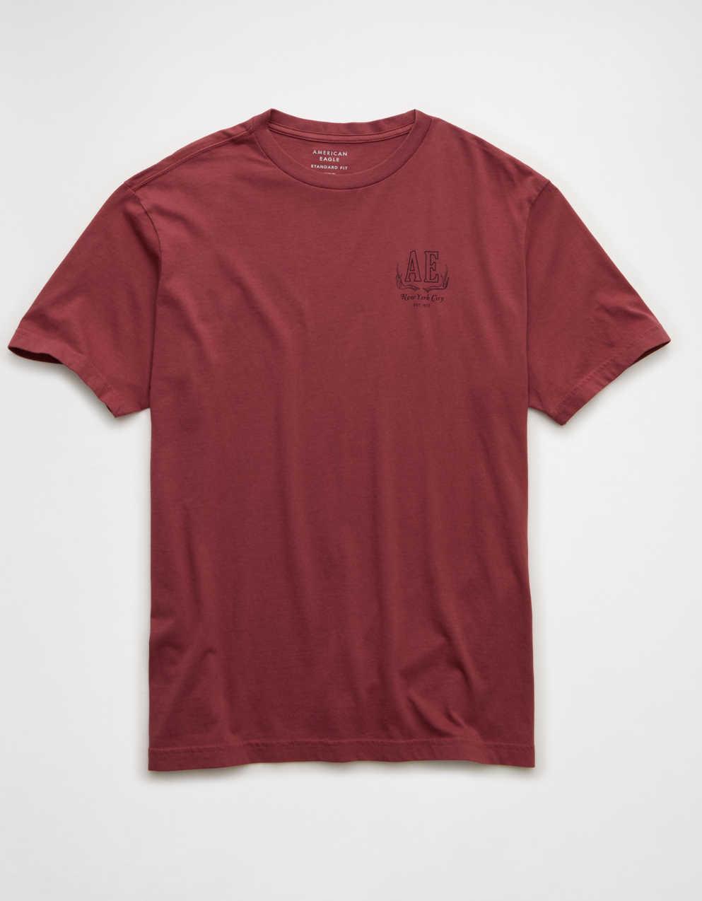 AE Standard Fit Logo Graphic T-Shirt