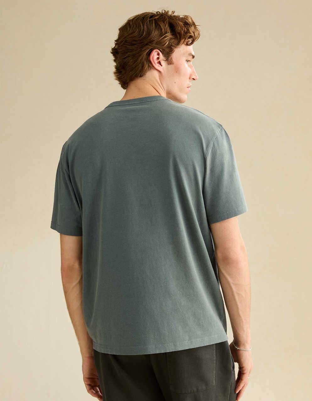 AE Standard Fit Graphic Logo T-Shirt