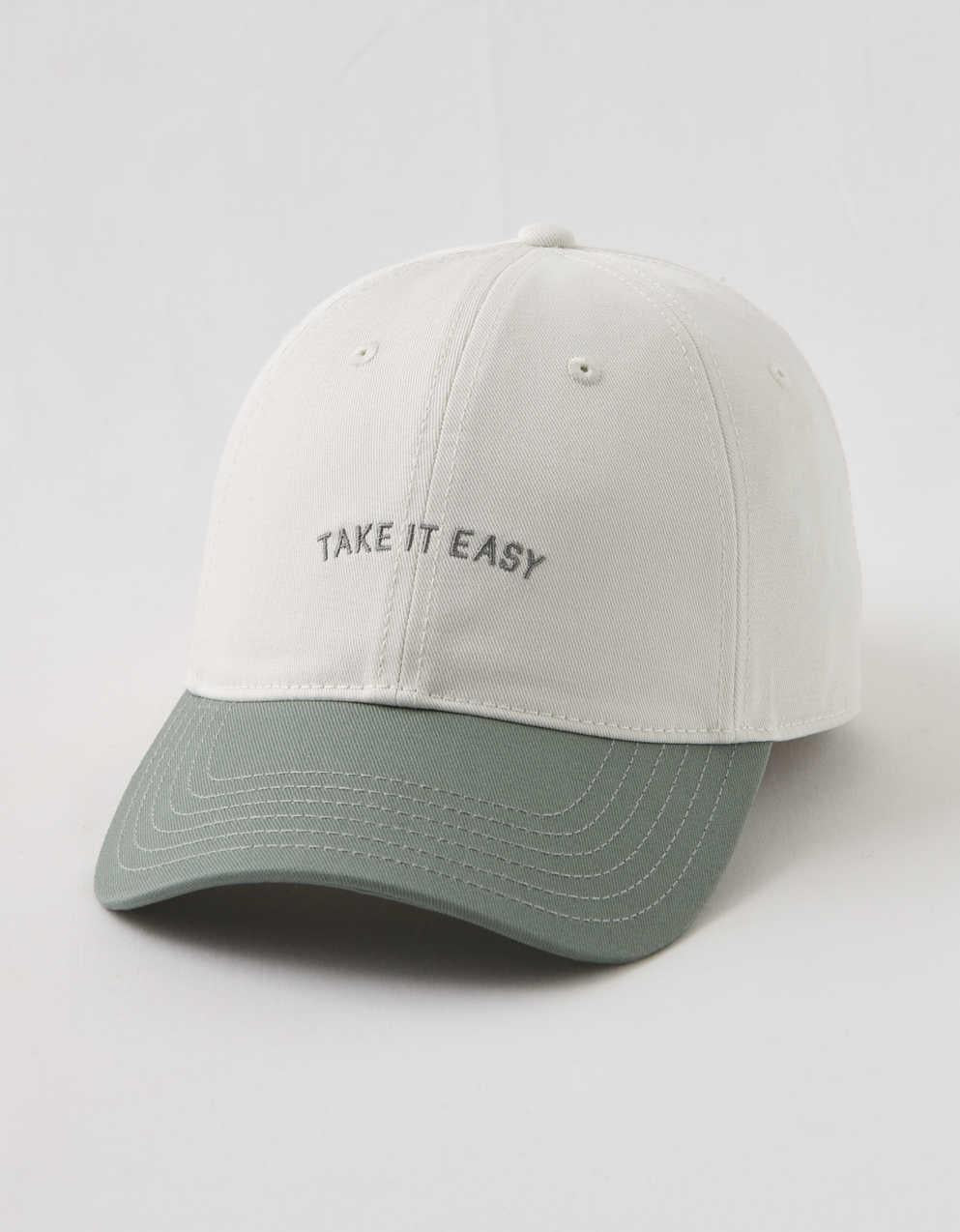 OFFLINE By Aerie Baseball Hat