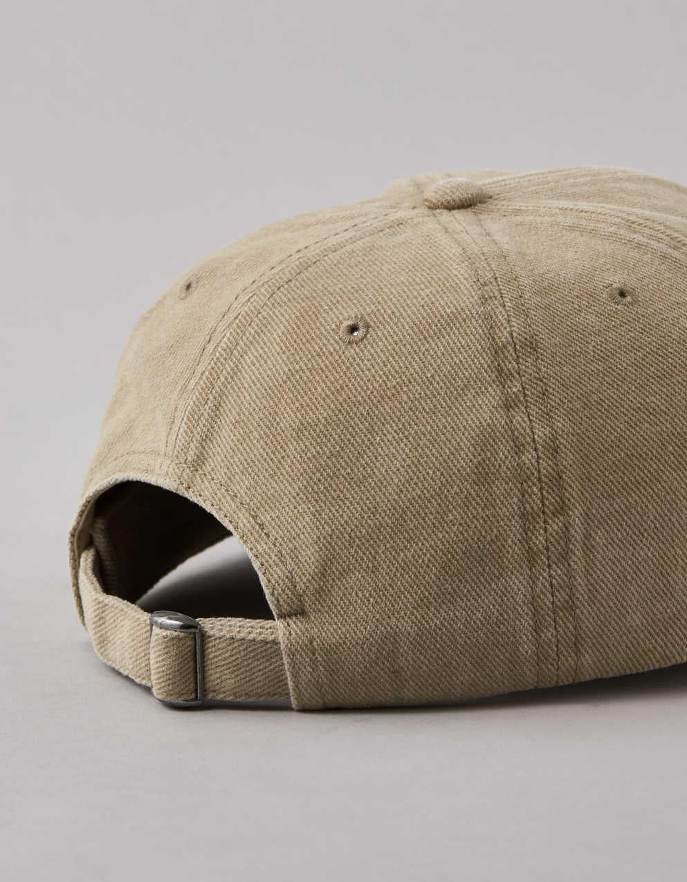 AEO Fitted 棒球帽