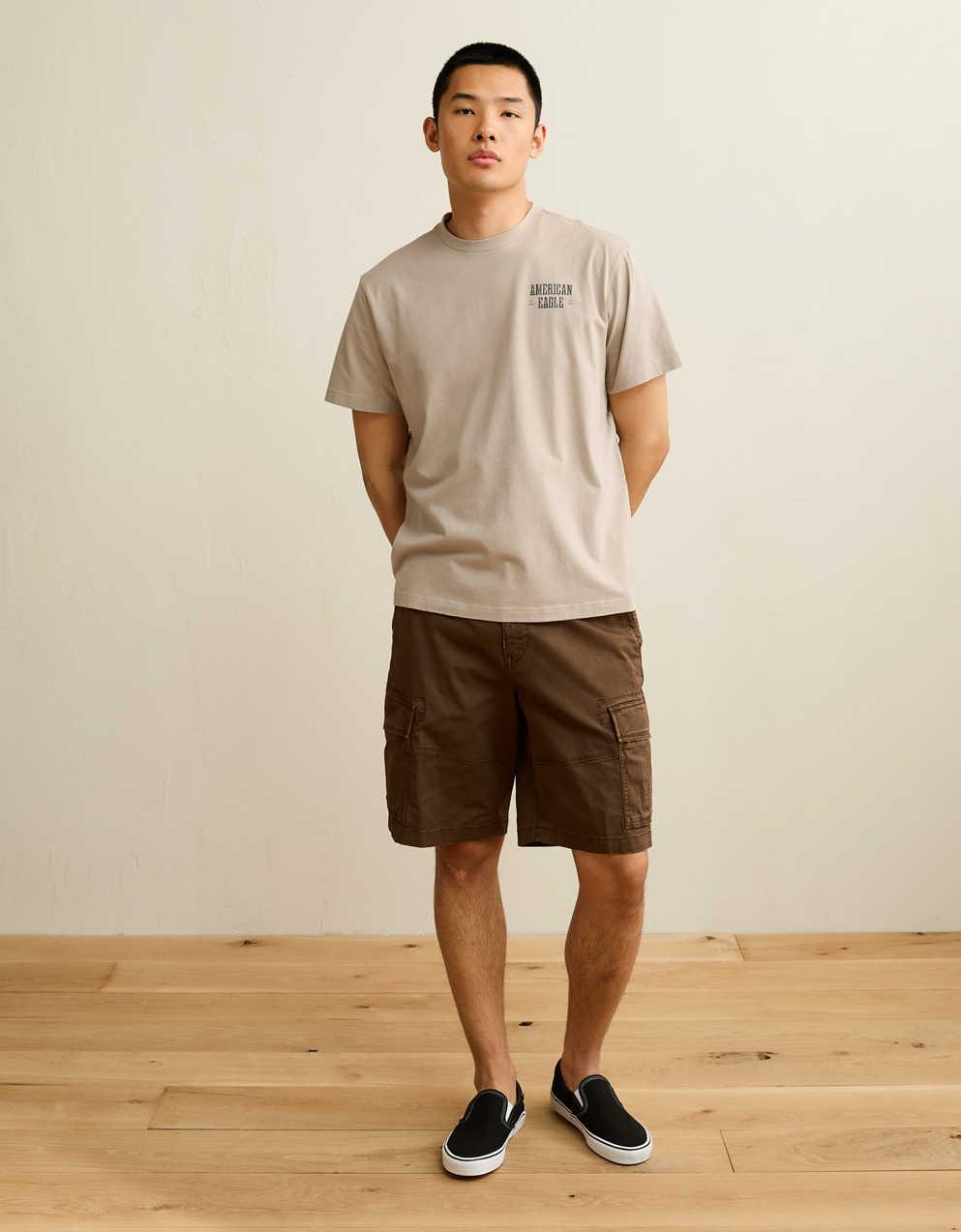 AE Standard Fit Graphic Logo T-Shirt