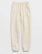 Aerie Jet Setter Jogger