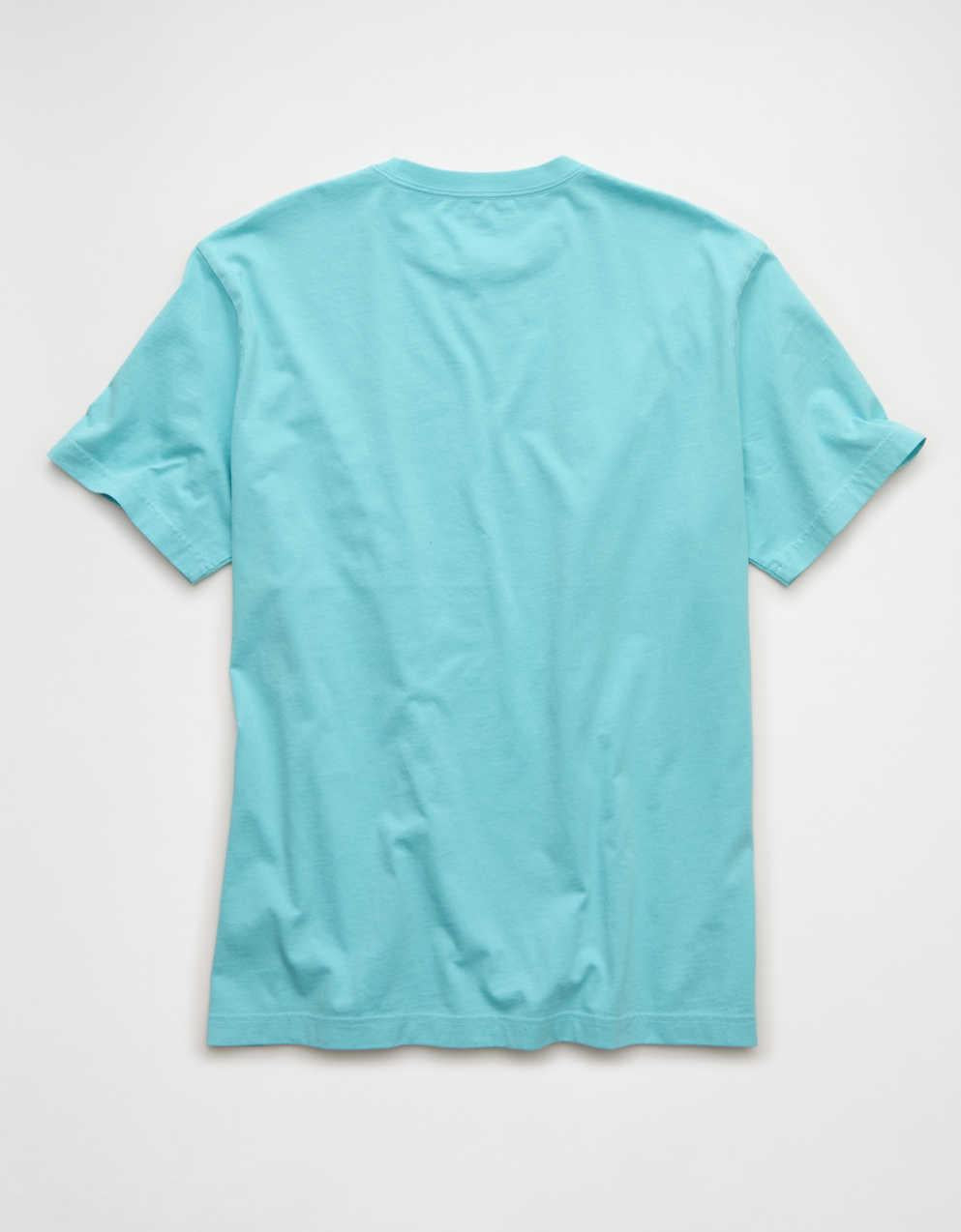 AE Standard Fit Destination Graphic T-Shirt