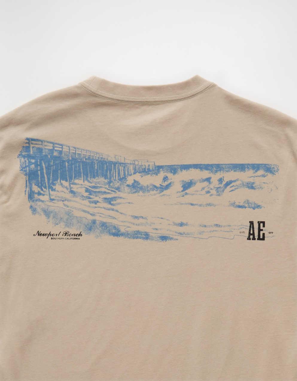 AE Standard Fit Graphic Logo T-Shirt