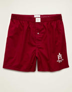 AEO Men's Stretch Cotton Boxer Short