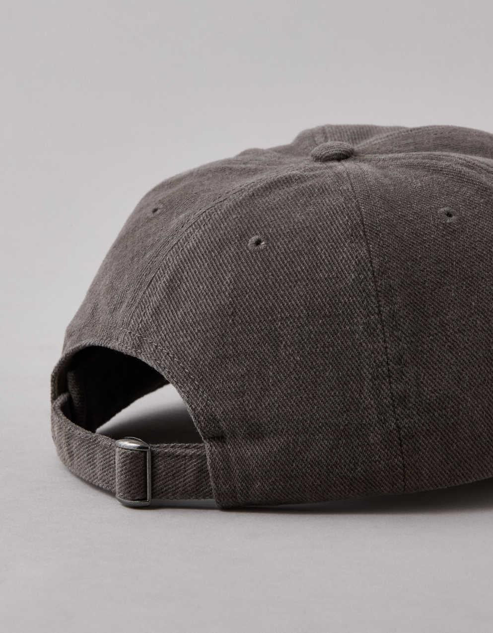 AEO Fitted 棒球帽