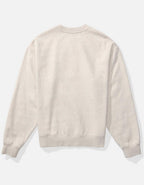AE Graphic Crewneck Sweatshirt