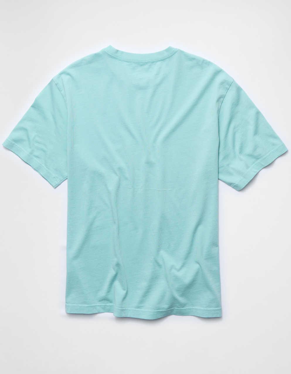 AE Standard Fit Graphic T-Shirt