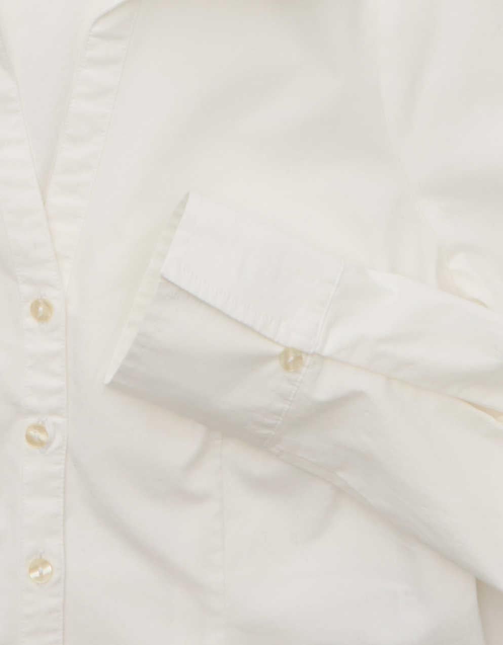 AE Fitted Poplin Button-Up Shirt