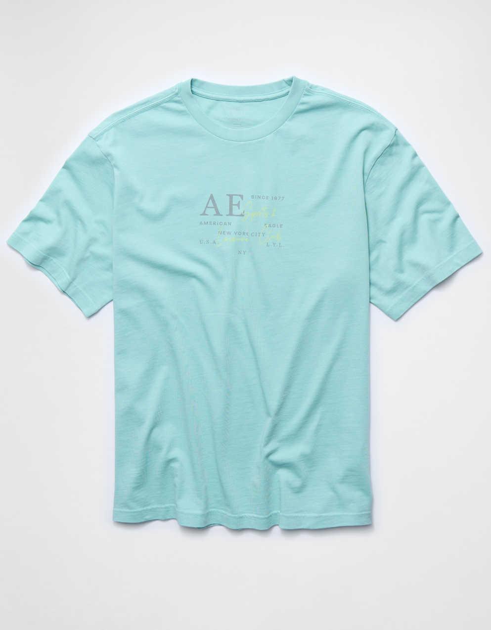 AE Standard Fit Graphic T-Shirt