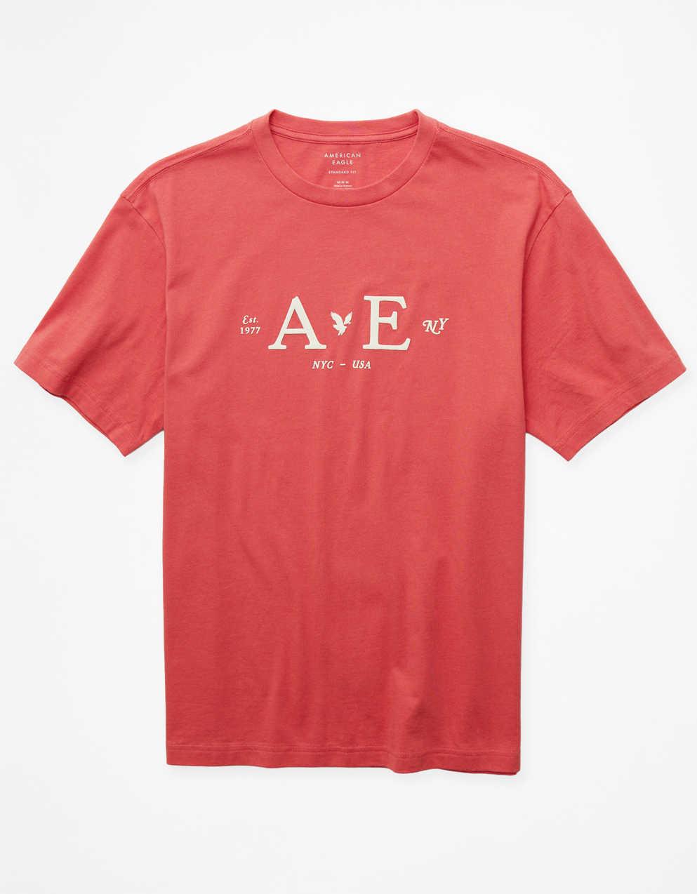 AE Photoreal Graphic T-Shirt